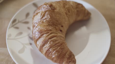 single croissant on a plate