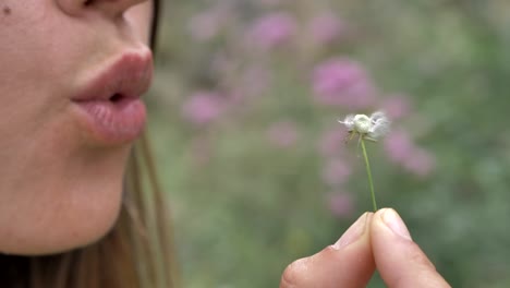 retrato de cerca de los labios de una joven caucásica que soplan en una flor de diente de león, cámara lenta, enfoque superficial, día