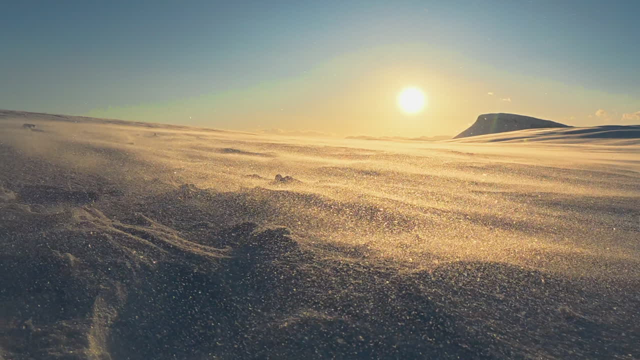 Ground level winter nature: Drifting snow tinted gold by setting sun