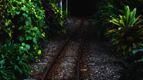 un conjunto de vías de tren giran hacia una densa jungla