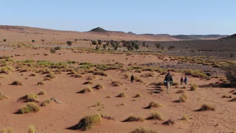 dromedary or camel caravan in moroccan desert