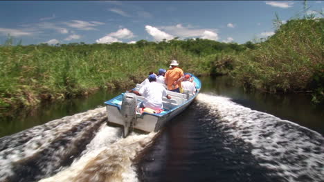 a tourist motorboat  travels through a wetland river area