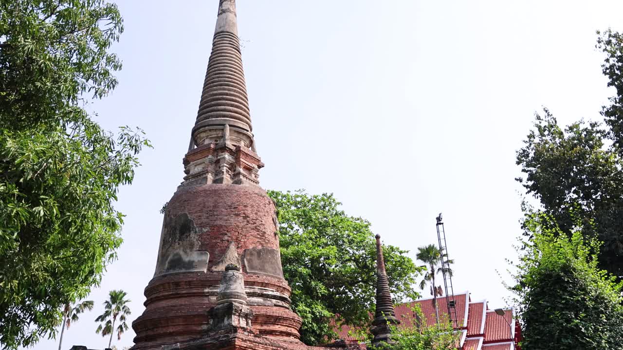 pagodas históricas en medio de árboles verdes y cielos despejados