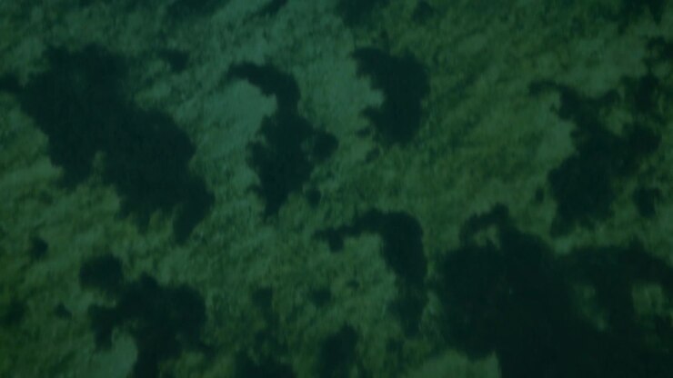 Aerial Dolly In View Shallow Water Seabed Algae Texture Etang de Thau France