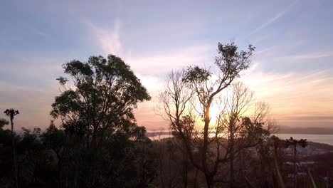 Spectacular-bright-sunrise-sunset-revealed-behind-the-tree-silhouettes