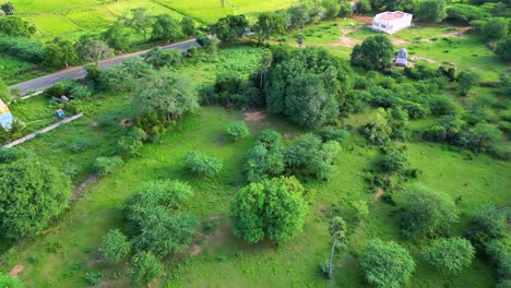 lush green indian landscape with trees, rural roads, and buildings, daylight, and aerial view