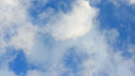 proyecto en la nube0
