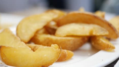 cuñas de patata crujientes en un plato blanco