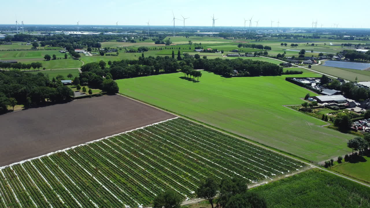 Aerial View of Dutch Farmland and Wind Turbines