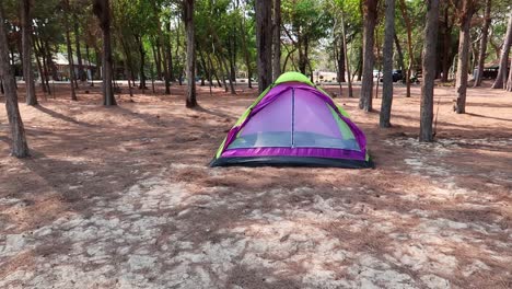una tienda de campaña en un campamento en el bosque en una escapada