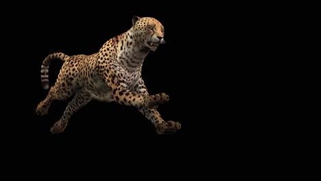 Ein-Gepard-Läuft-Auf-Schwarzem-Hintergrund-Mit-Alphakanal-Am-Ende-Des-Videos,-3D-Animation,-Perspektivische-Ansicht,-Animierte-Tiere,-Nahtlose-Schleifenanimation