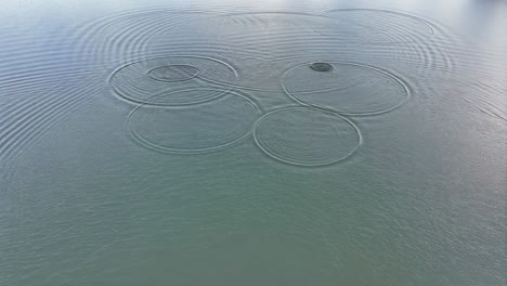 water ripples on a calm surface