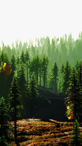 escena del bosque con un árbol dorado