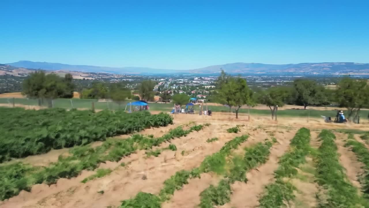A Scenic Overview of Lush Green Fields Transitioning to Open Spaces, Capturing the Vibrant Beauty of Nature with a Backdrop of Mountains and Urban Areas