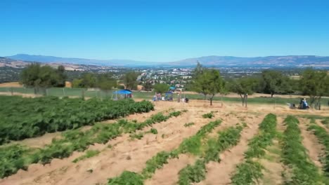 a scenic overview of lush green fields transitioning to open spaces, capturing the vibrant beauty of nature with a backdrop of mountains and urban areas