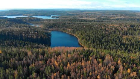 Drone-footage-flying-over-a-colourful-autumn-forest-towards-i-small-lake