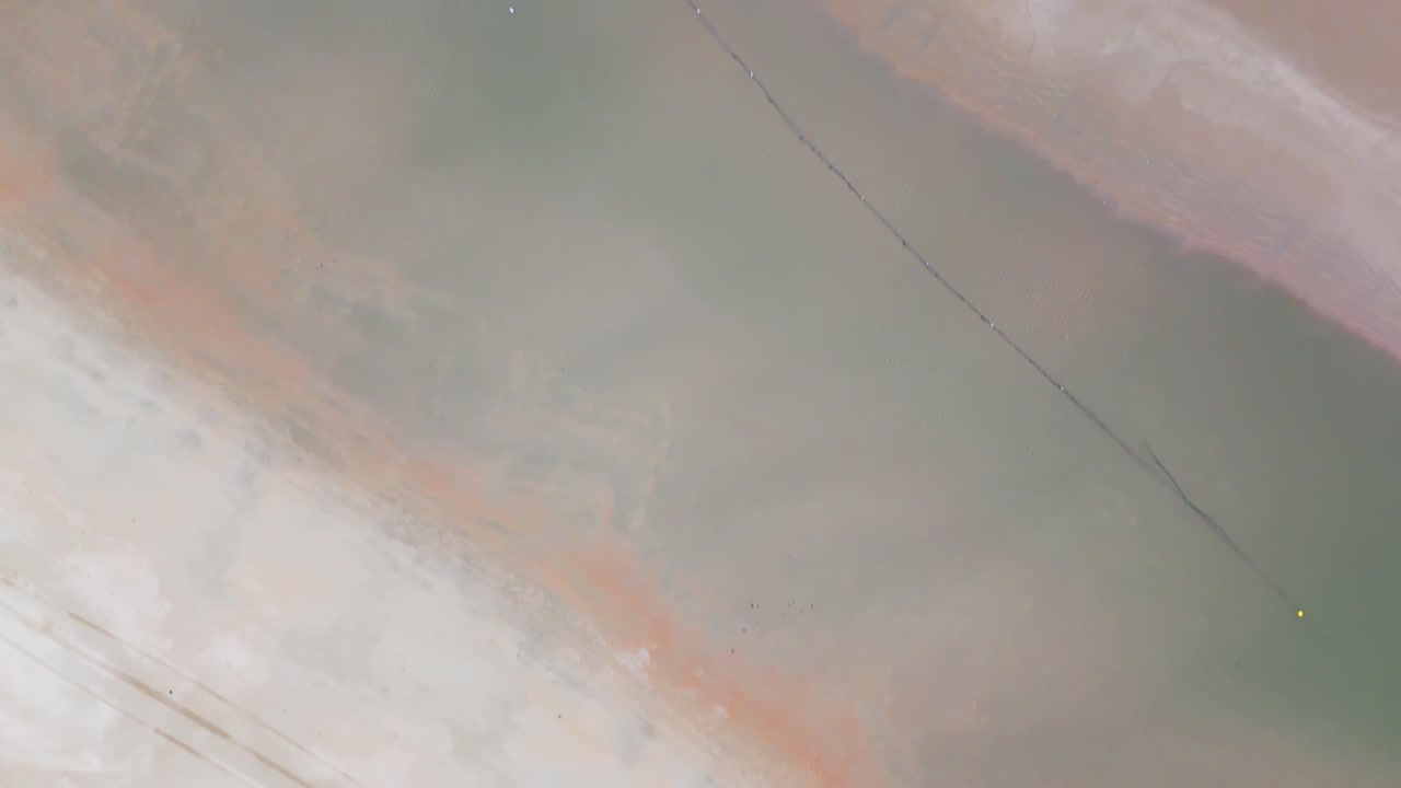 birdview drone flight over beach with walking humans very calm