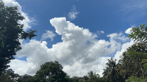 cumulus clouds moving against the blue sky in the sunny day