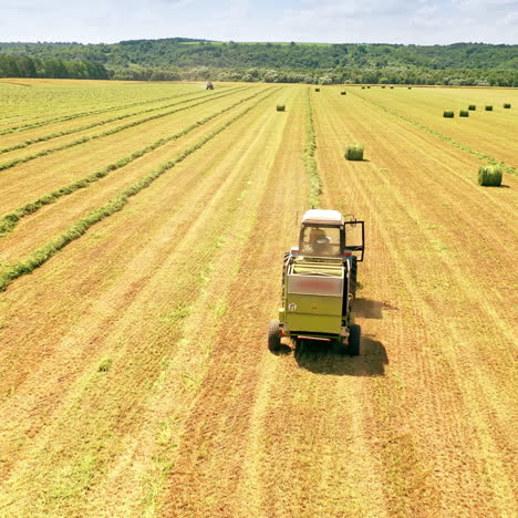 tractor rides on a field in summer. agricultural machinery collects dried grass to feed livestock in winter outdoors. aerial drone shot.