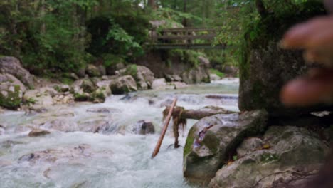 Focus-push-from-mushrooms-growing-on-tree-trunk-to-mountain-stream-rapids-with-riffles-and-wooden-bridge-over-river-in-German-countryside