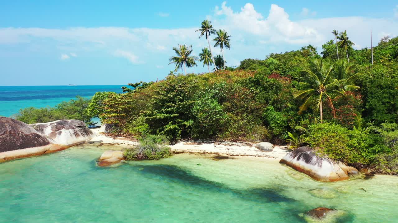 Costa tropical rocosa con palmeras altas y exuberante vegetación exótica