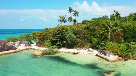 rocky tropical shore with tall palms and exotic lush