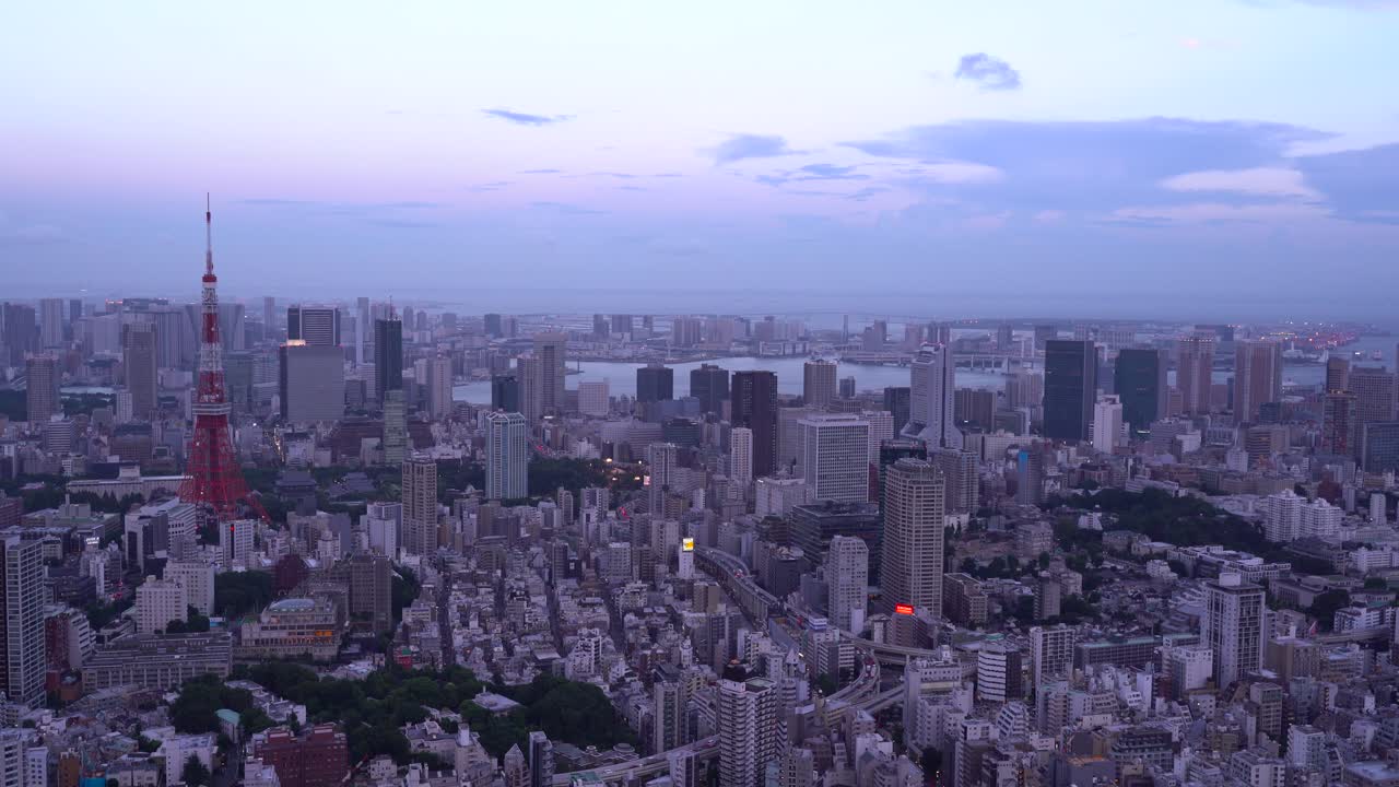유명한 도쿄 타워와 함께 황혼에 도쿄 도시의 아름다운 파노라마 전망 - 잠긴 전망