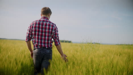 farmer walking through a wheat field