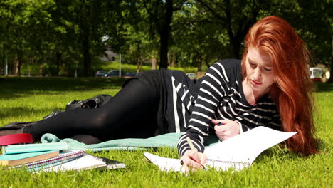 pretty student studying outside on campus