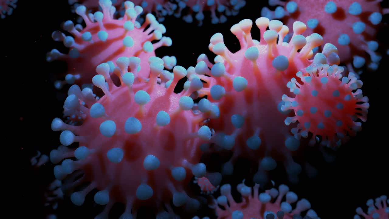 en primer plano, el coronavirus tipo covid-19, h1n1, la gripe aviar o la gripe porcina se mueven suavemente en el fluido. representación 3d del virus como fondo de bucle microscópico microbiológico. gradiente azul rojo 5