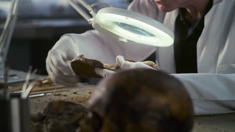 archaeologist examining ancient remains in a laboratory