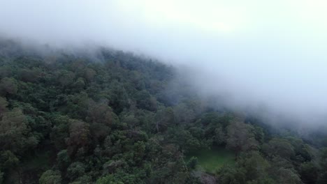 up in the clouds