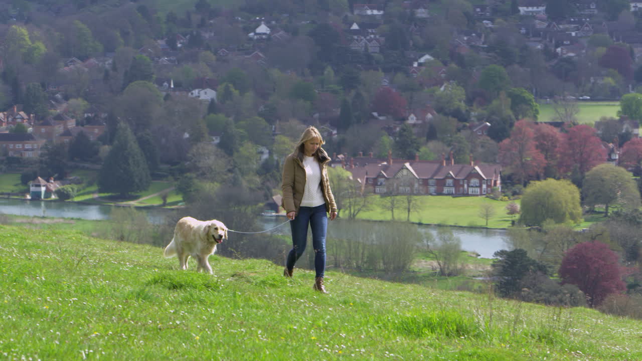 성숙한 여성이 r3d 촬영으로 시골에서 강아지를 산책시키고 있습니다.