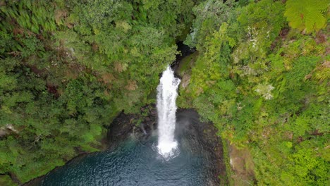 untouched pristine nature of omanawa falls near tauranga in bay of plenty, north island, new zealand