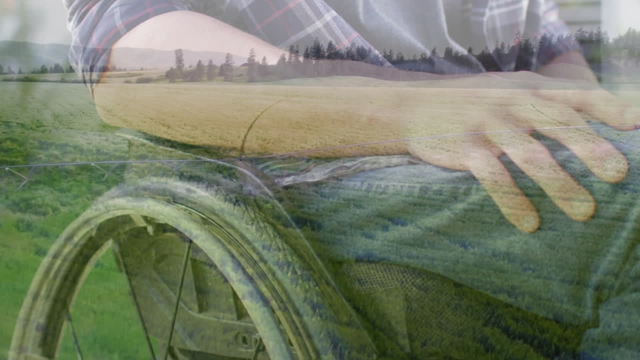Wheelchair user moving through scenic countryside with fields and trees in animation