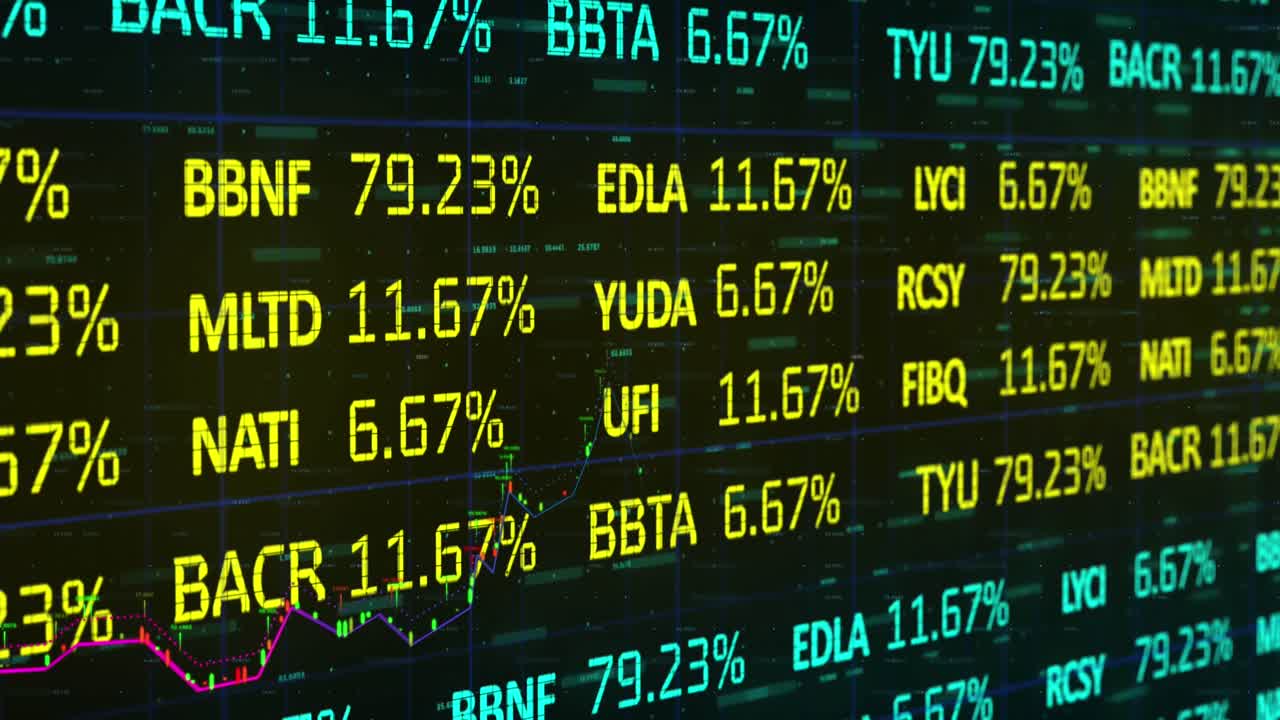 Animazione di elaborazione di dati finanziari e registrazione di statistiche