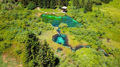 aerial 4k drone footage of zelenci springs