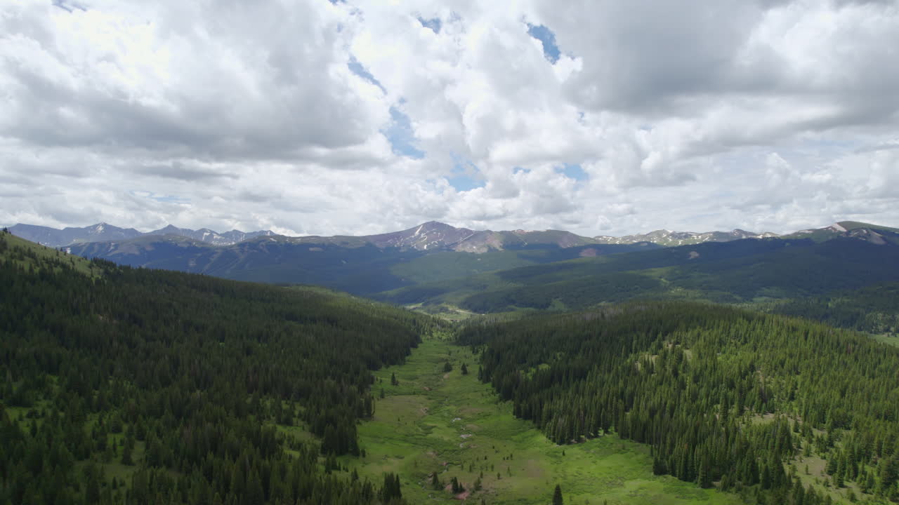 vista aérea de drones de conservación de la naturaleza del hermoso paisaje verde y exuberante del valle de la montaña del bosque de pinos durante el día nublado de verano