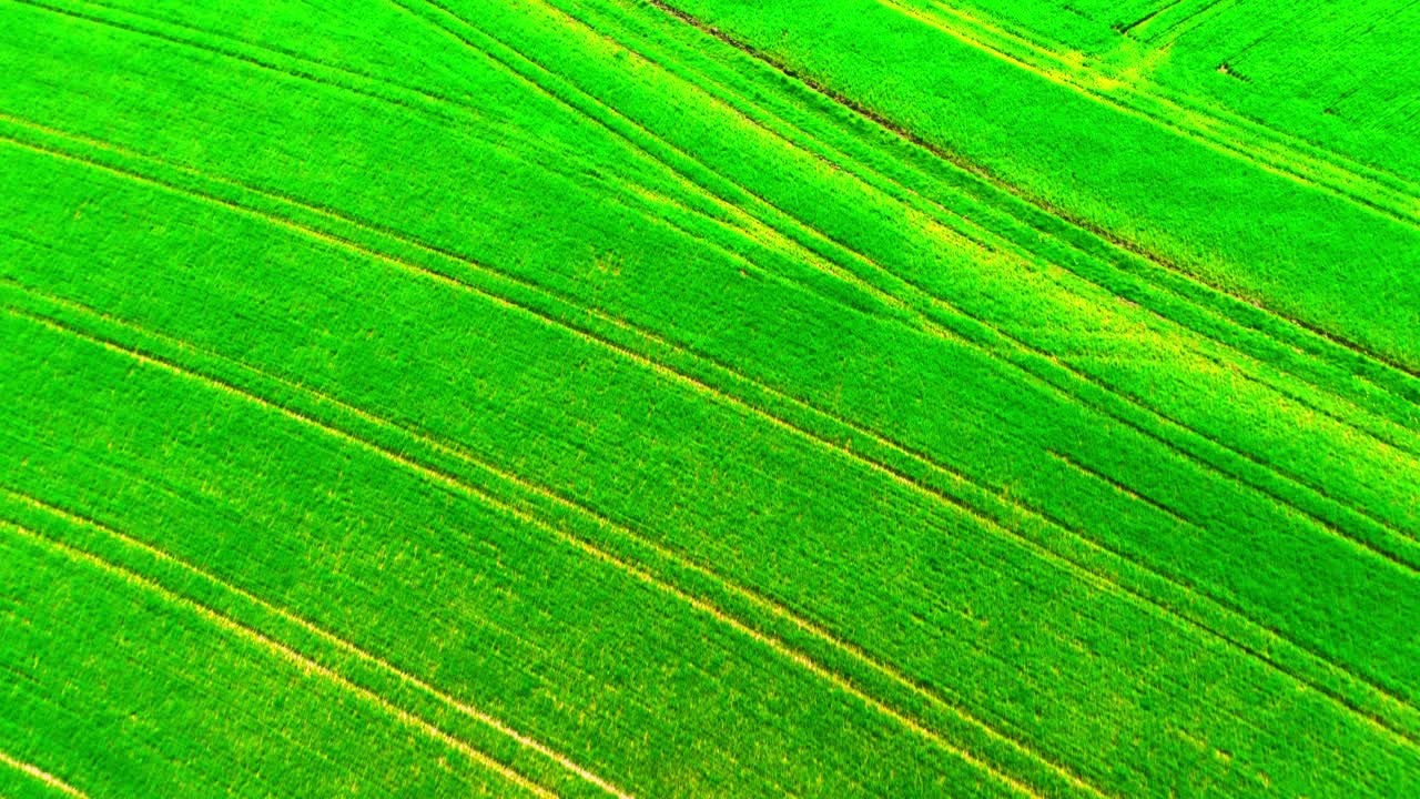 작물 패턴 을 가진 활기찬 초록색 농장 의 공중 사진