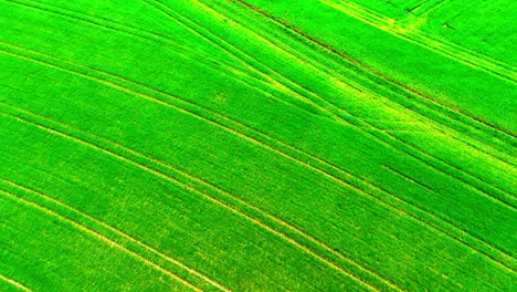 aerial view of vibrant green agricultural field with crop patterns