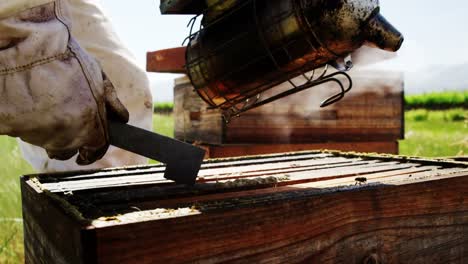 el apicultor fumando la colmena de abejas