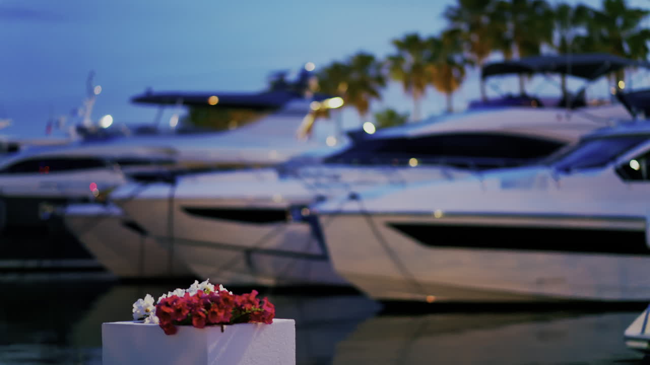 Close up of pink petunia flowers with boats docked in Port Vauban at sunset in the background