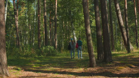 women walking through lush forest, one with blue hair tie and backpack, other with cloth draped over bag, hair tied back, as sun filters through tall trees, scene embodies calm and beauty of nature