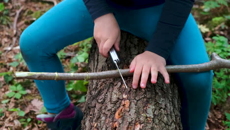 Hands of a little girl or boy using a Swiss knife, sawing a piece of wood in the forest, nobody-1