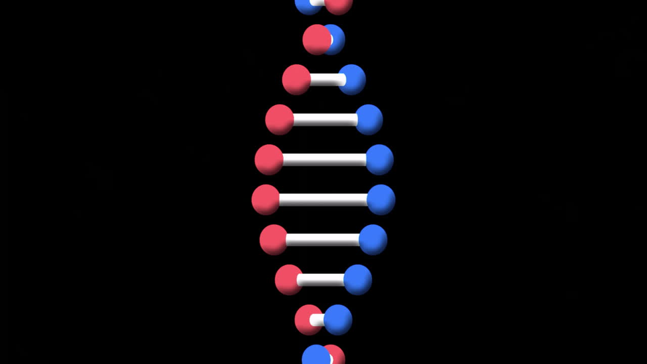 dna 가닥에 대한 과학적 데이터 처리의 애니메이션