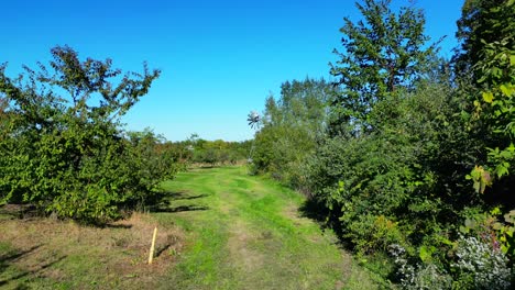 walking towards a spinning windmill generator at end of a grape orchard