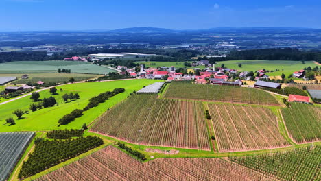 flight over the agricultural fields in the countryside. approaching the lovely village surrounded by the green meadows. aerial view