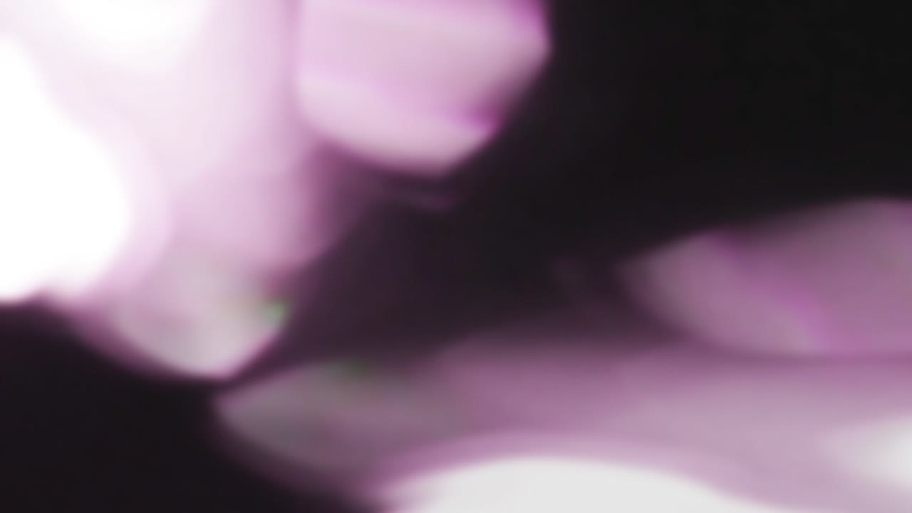 Abstract Purple Light Leaks and Bokeh on Black Background