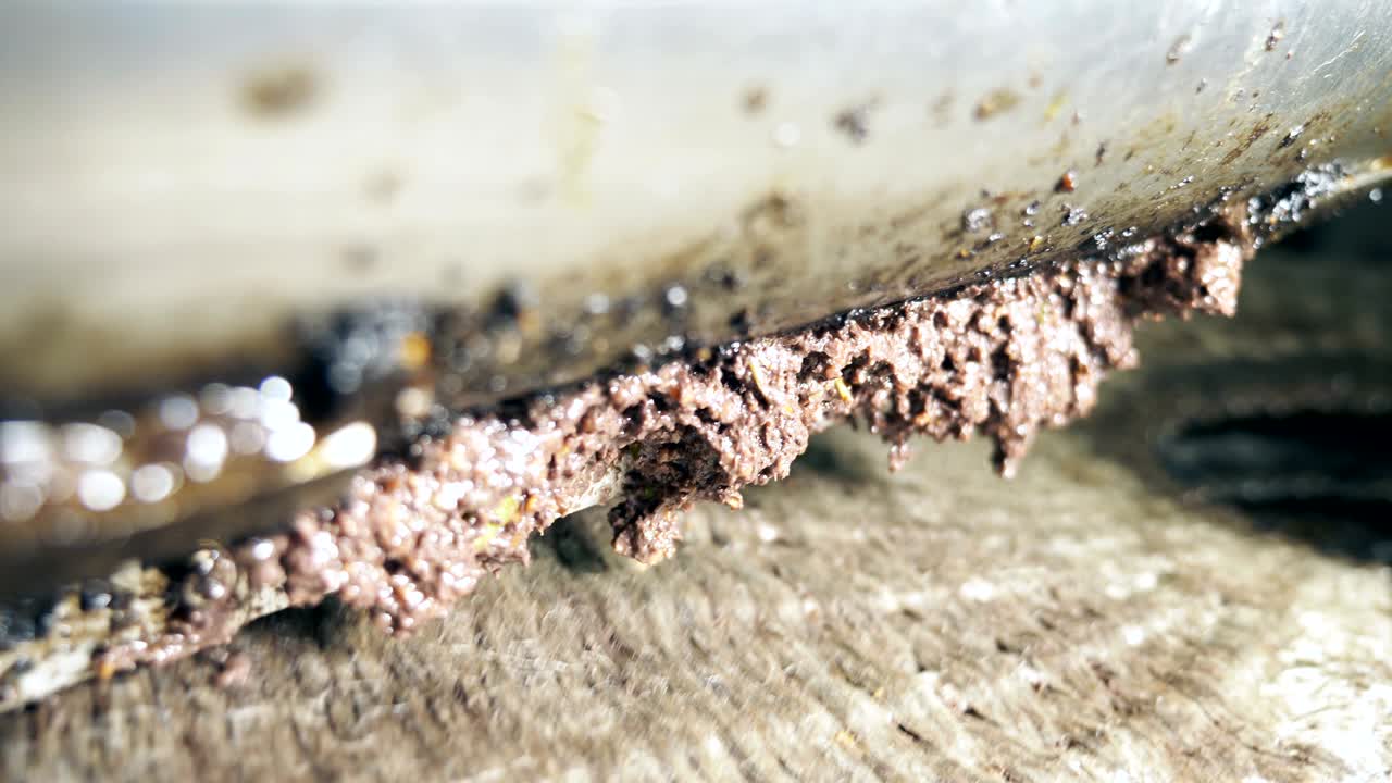 올리브 오일 제조 - 이탈리아 남부의 올리브 올리브 밀