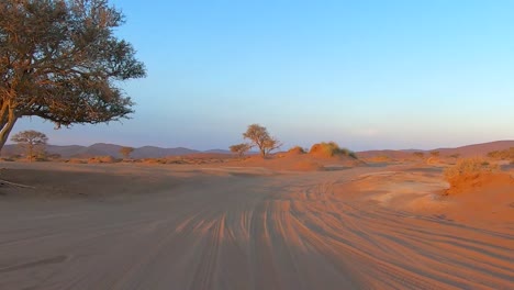 sossusvlei 4x4 drive in sand from deadvlei namibia at sunset